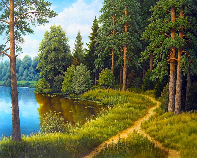 Path Through Forest Lake