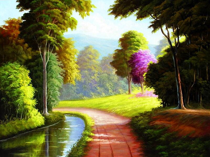 Path Through Forest Landscape — Green