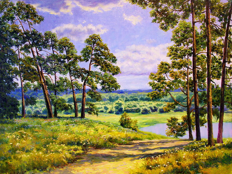 Path Through Forest Landscape