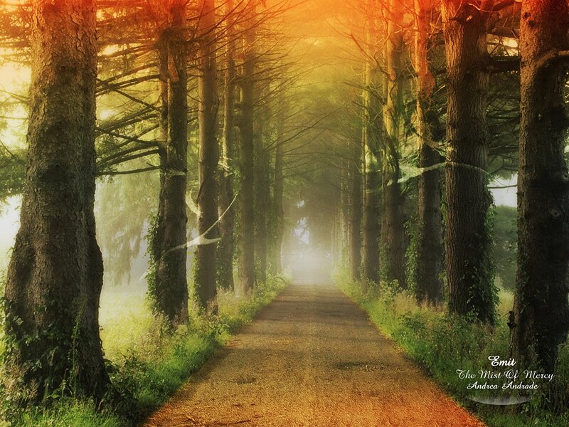 Path Through Forest — Orange, Serene