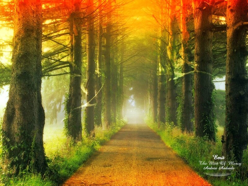 Path Through Forest Tunnel — Orange, Serene