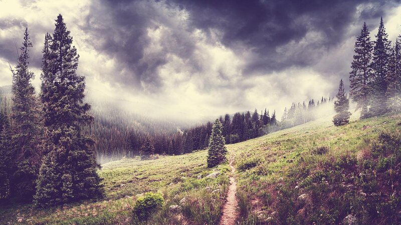 Path Through Forested Hill