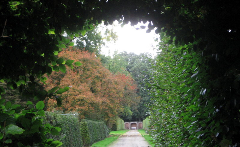 Path Through Garden — Green, Serene, Autumn