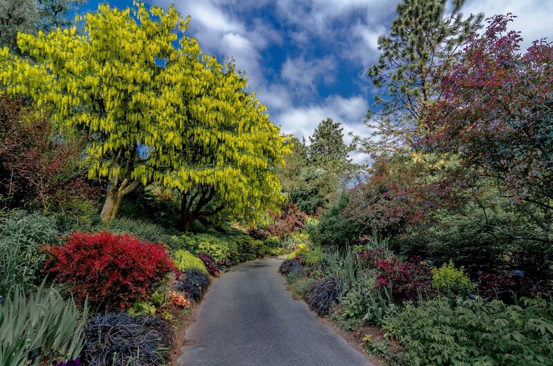 Path Through Garden — Green, Serene, Spring