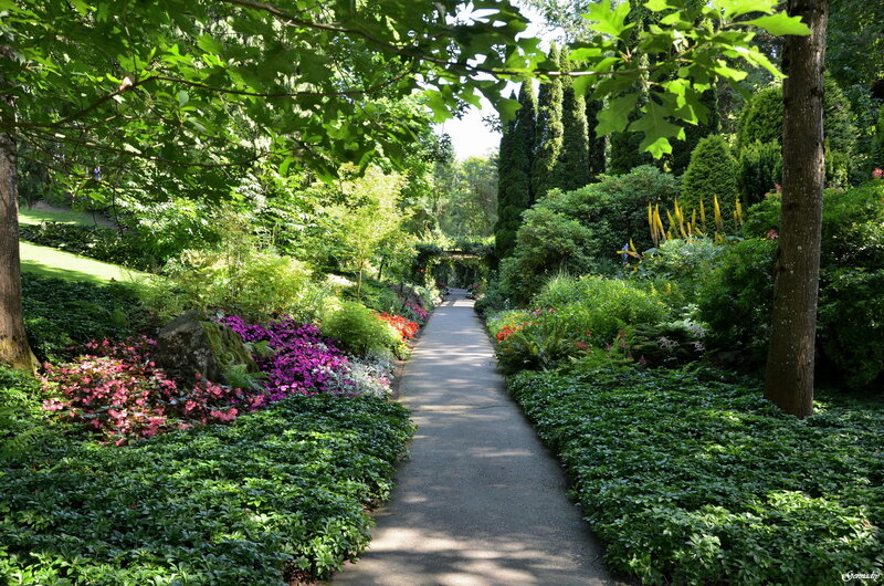 Path Through Garden — Green, Serene