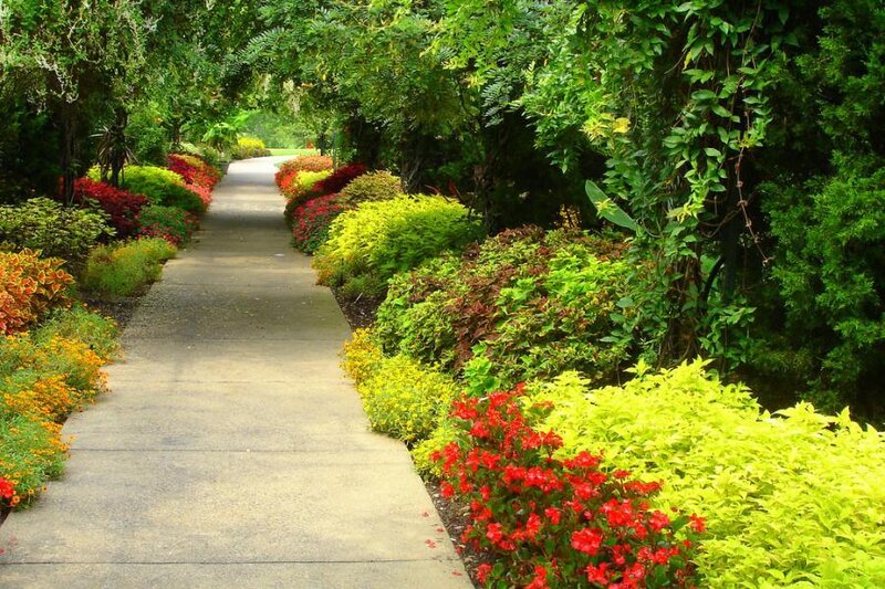 Path Through Garden