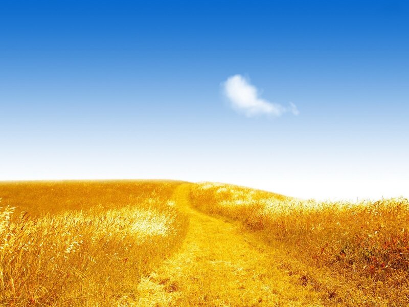 Path Through Golden Field — Blue