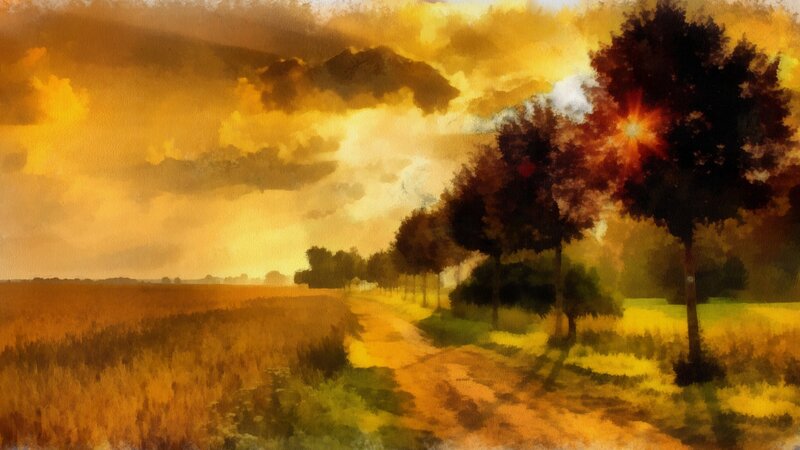 Path Through Golden Field — Yellow