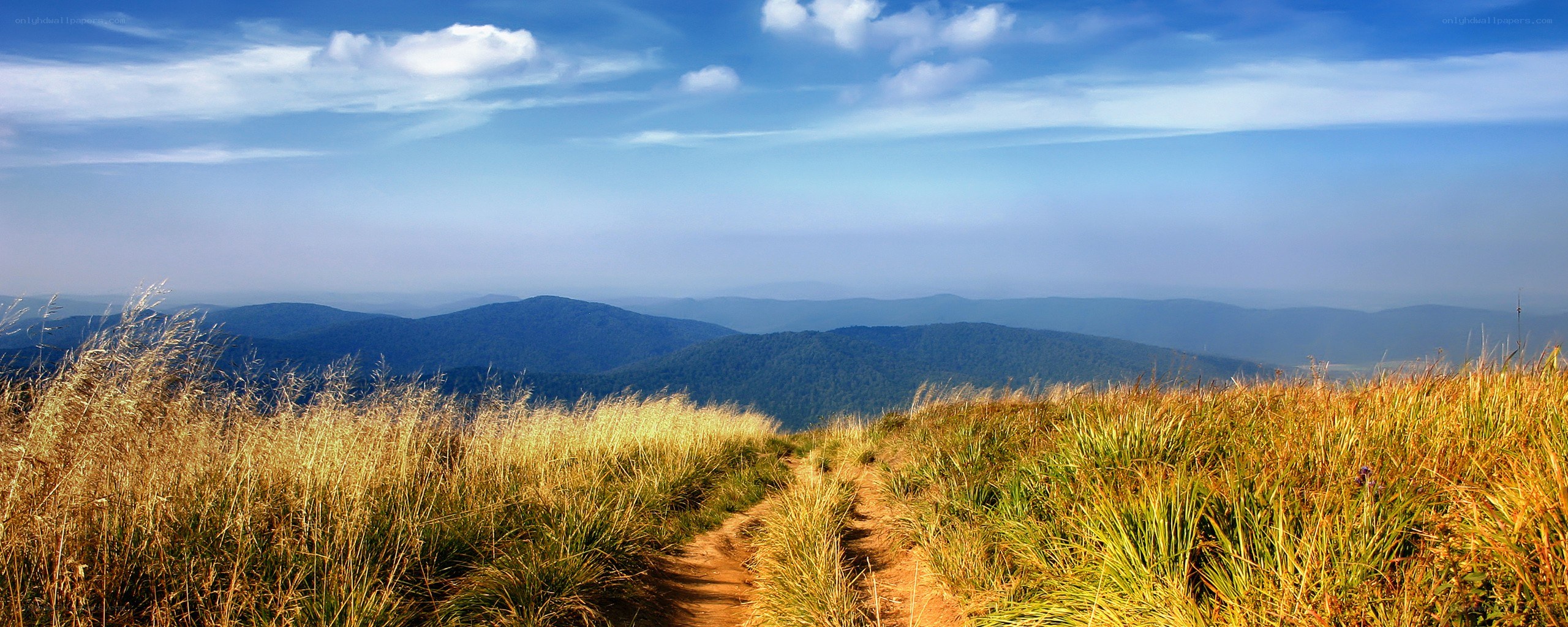Path through golden grassy hills