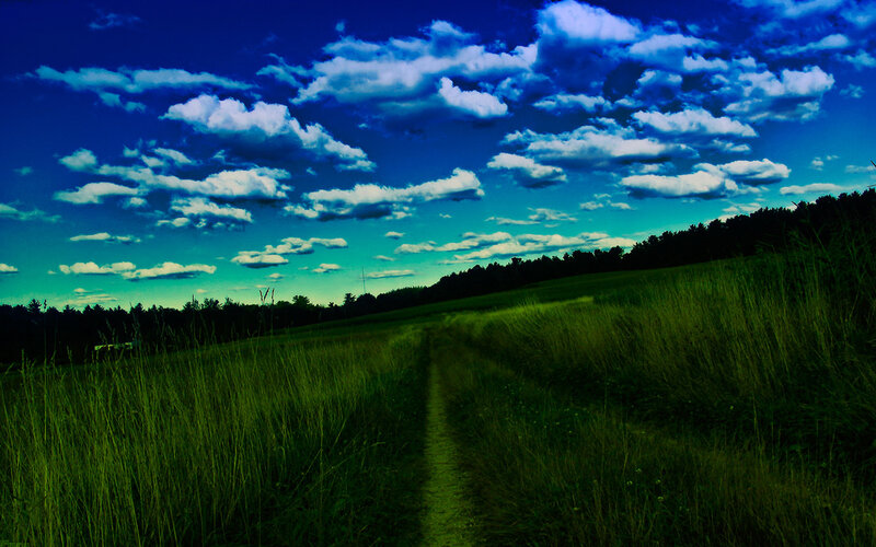 Path Through Grassy Field — Blue