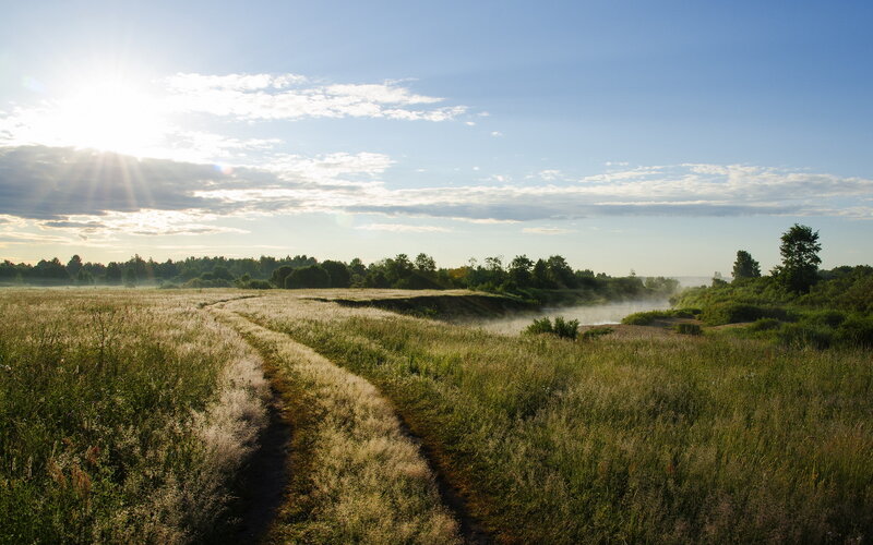 Path Through Grassy Field — Green, Serene