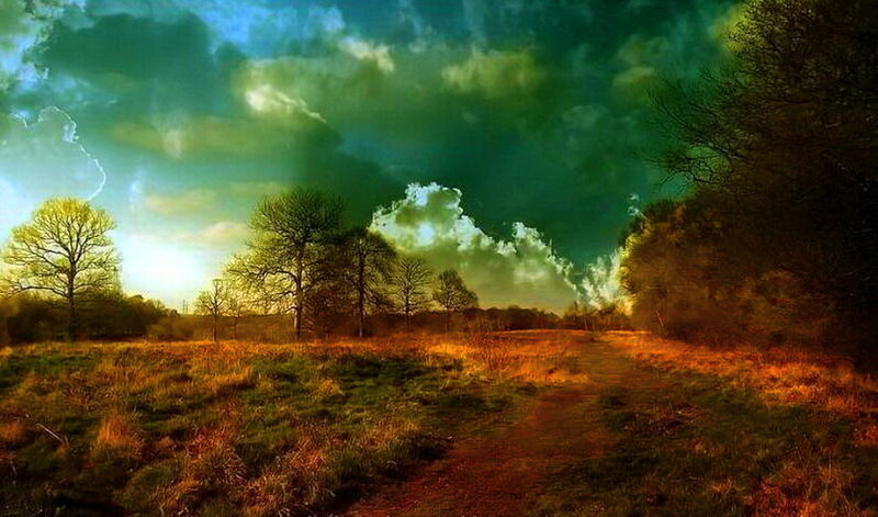 Path Through Grassy Field