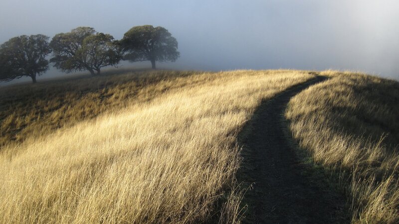 Path Through Grassy Hill