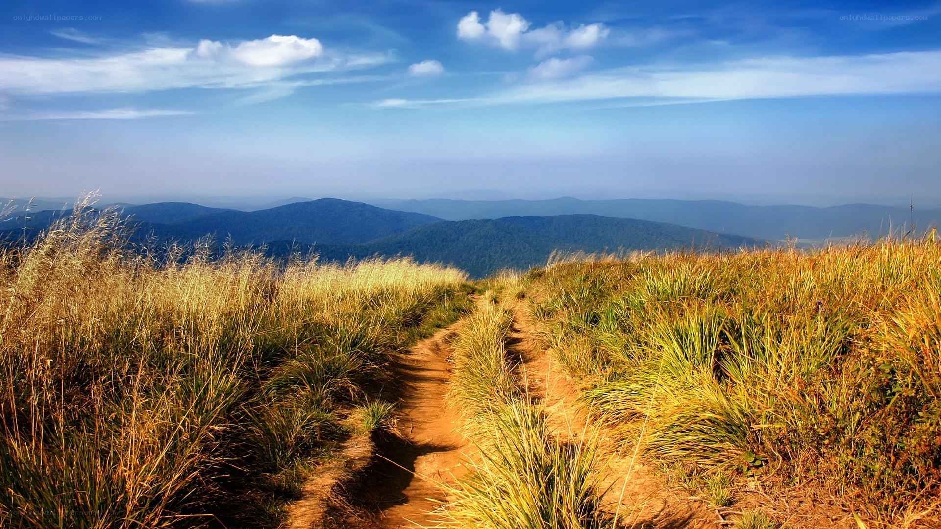 Path through grassy mountain ridge