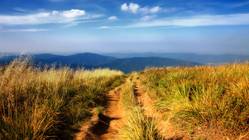 Path through grassy mountain ridge