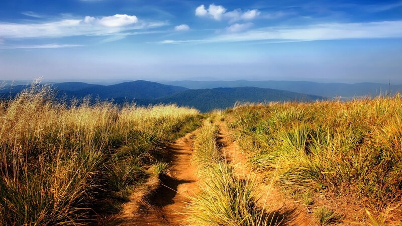 Path through grassy mountain ridge