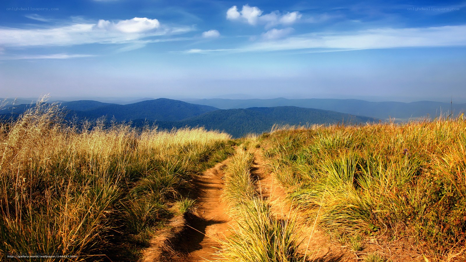 Path through grassy mountain ridge