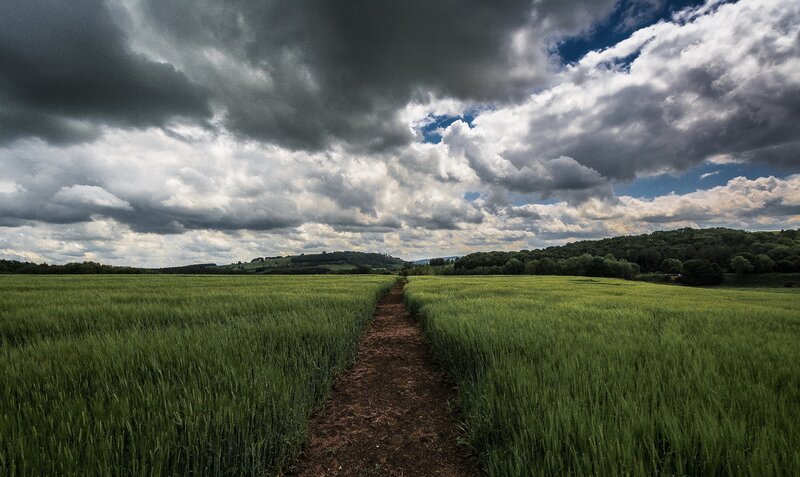 Path Through Green Field — Dramatic, Afternoon, Photograph, Clouds