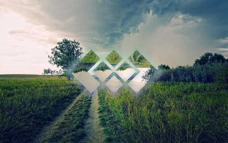 Path Through Green Field — Dramatic, Afternoon, Photograph