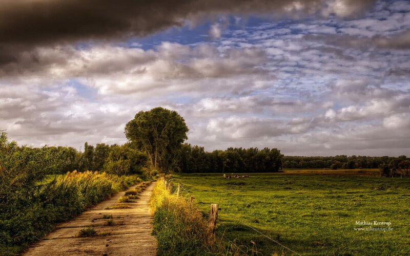 Path Through Green Field — Dramatic, Afternoon