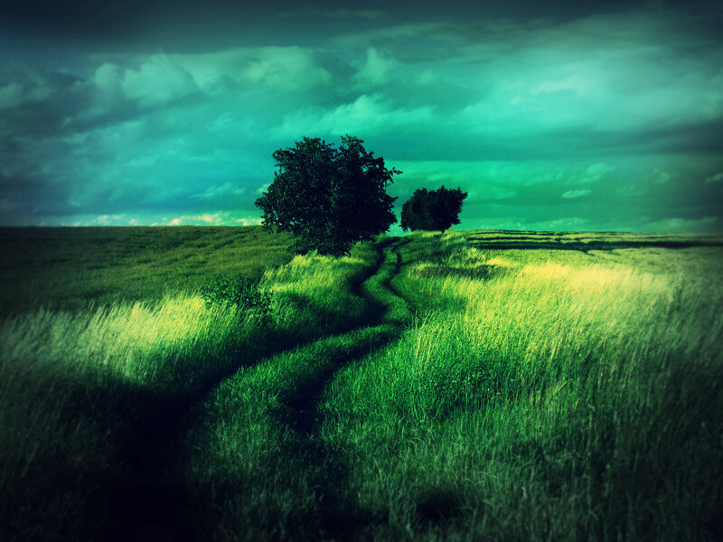 Path Through Green Field — Dramatic, Photograph