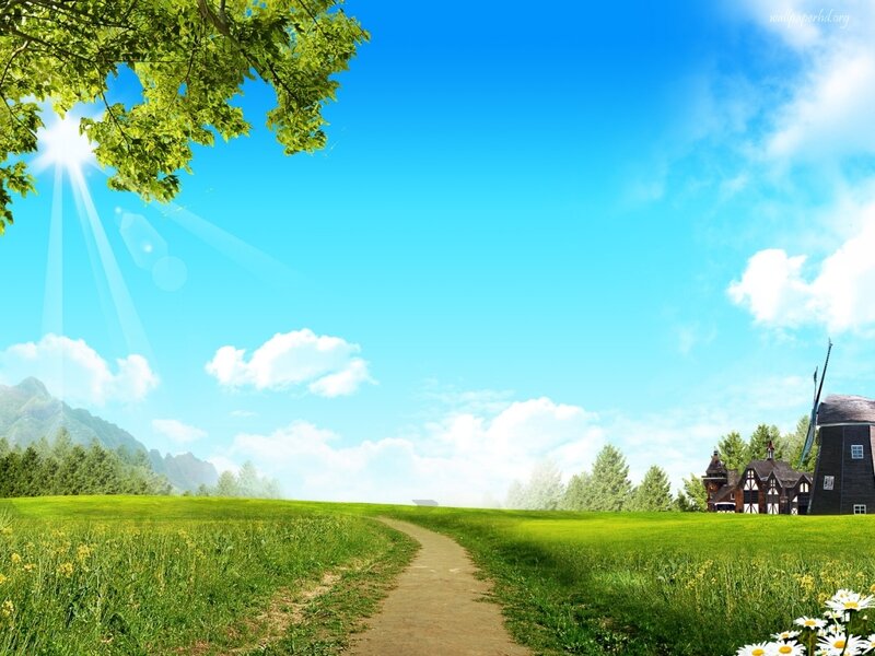 Path Through Green Field — Serene