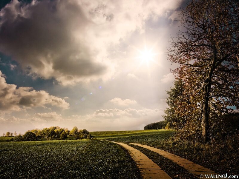 Path Through Green Fields — Dramatic, Afternoon, Photograph, Sun, Clouds, Tree, Brown