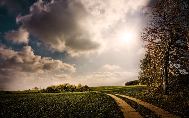 Path Through Green Fields — Dramatic, Afternoon, Photograph