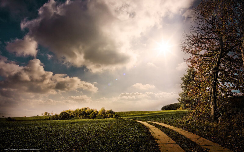 Path Through Green Fields — Dramatic, Afternoon