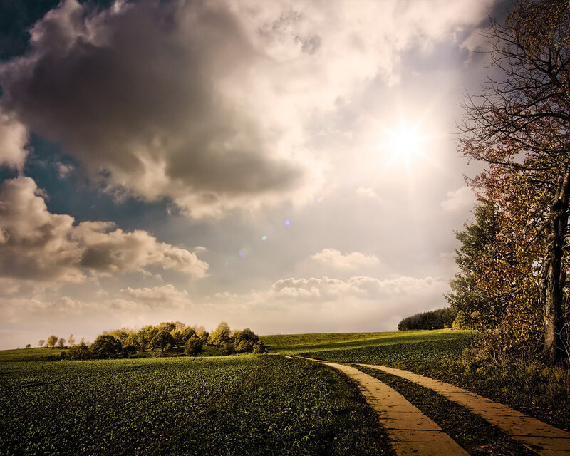 Path Through Green Fields — Dramatic