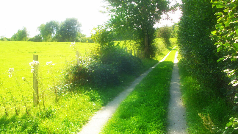 Path Through Green Fields — Serene
