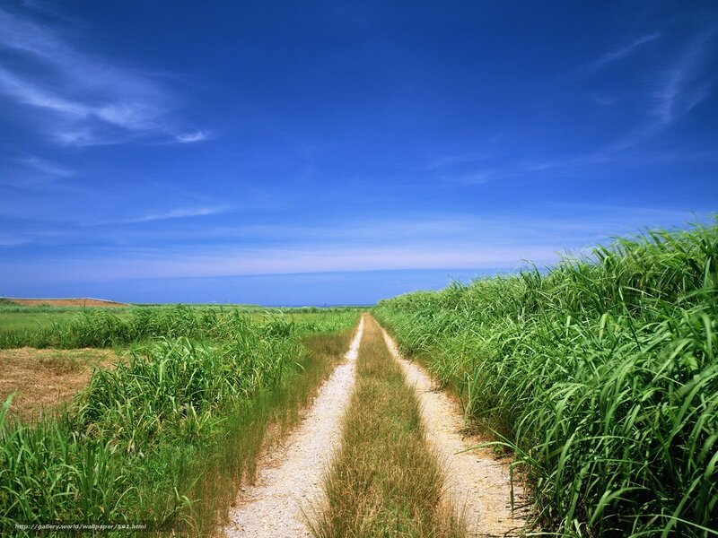 Path through green fields under blue sky