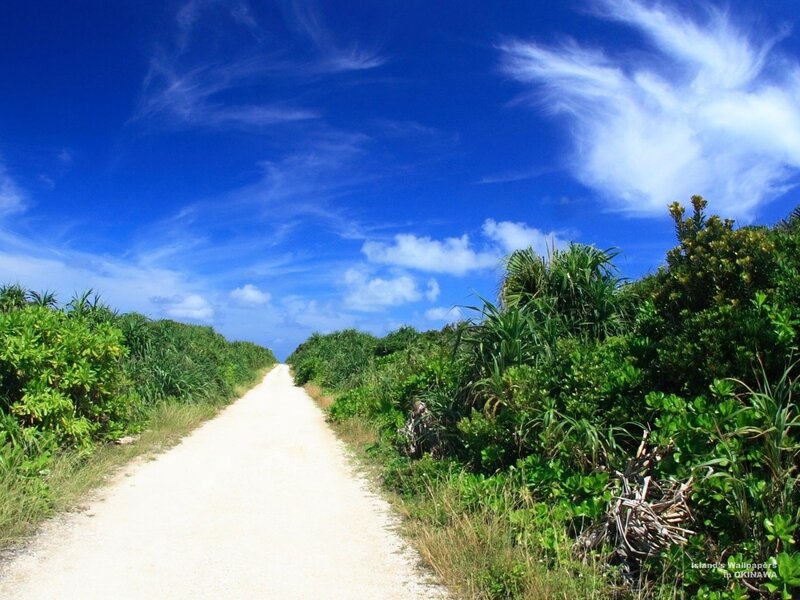 Path through green foliage under blue sky