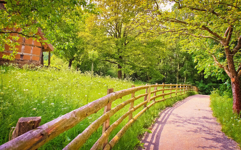 Path Through Green Forest — Serene, Afternoon, Photograph, Wooden Fence