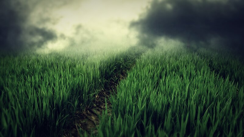Path Through Green Grass — Dramatic