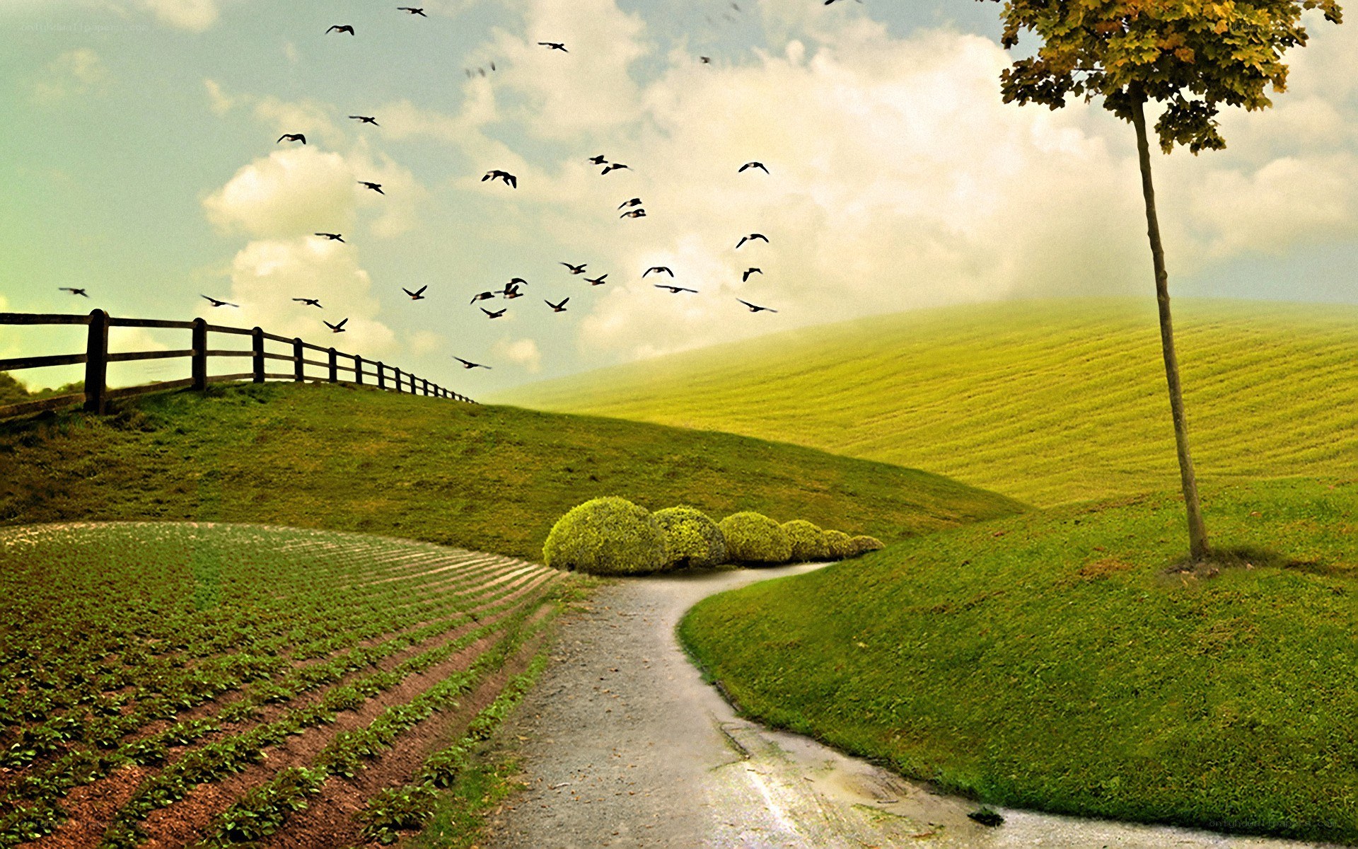 Path through green hills