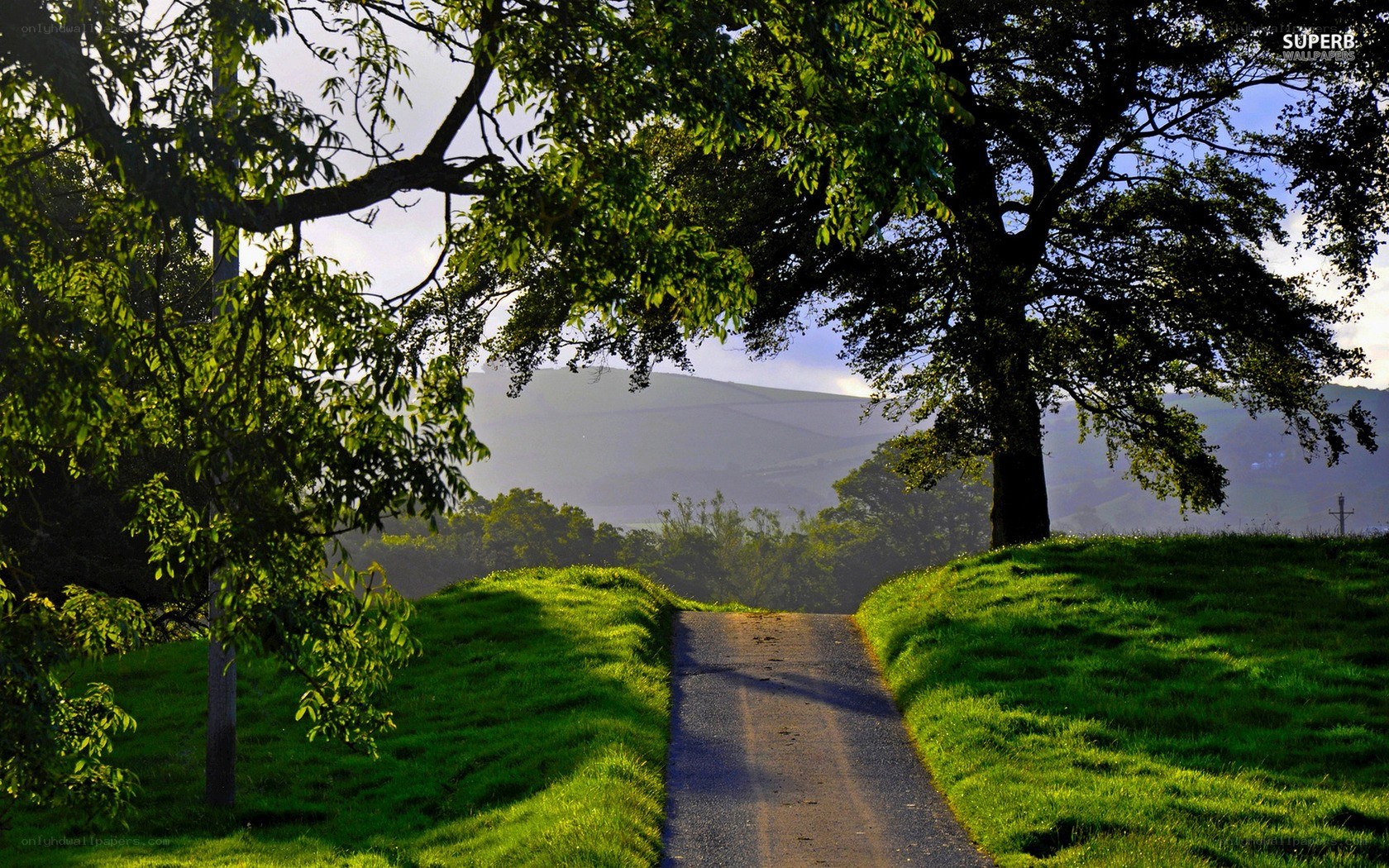 Path through green hills