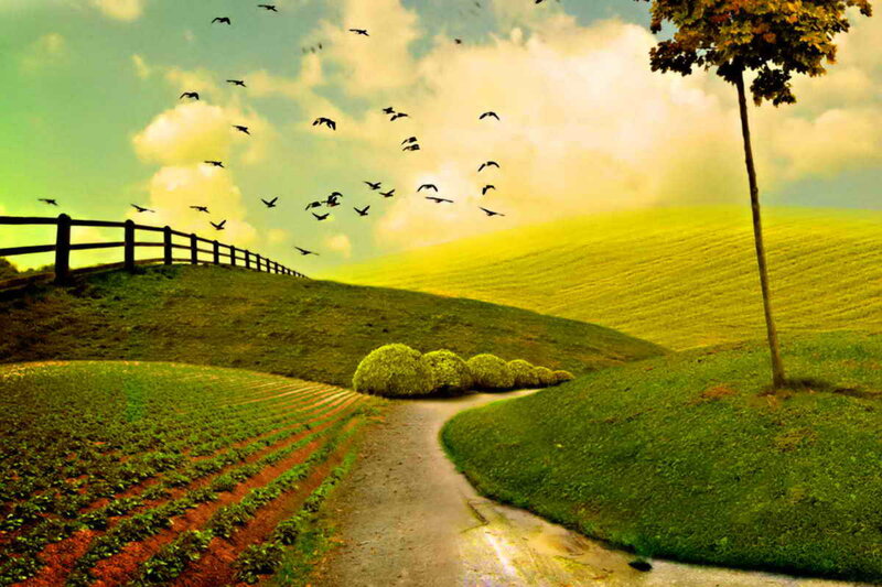 Path Through Green Hills — Serene, Afternoon, Digital Art