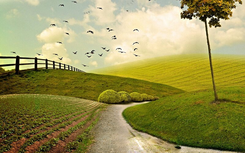 Path Through Green Hills — Serene, Afternoon, Photograph