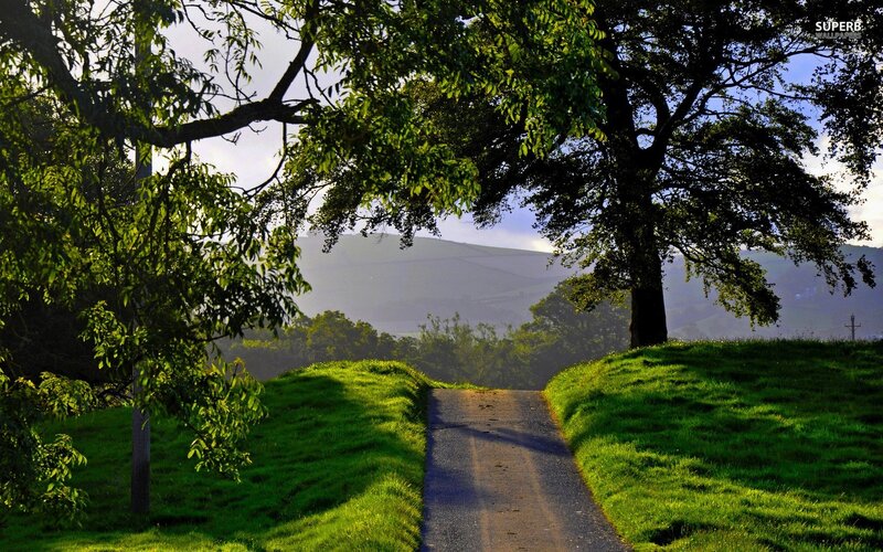 Path Through Green Hills — Serene, Morning, Photograph