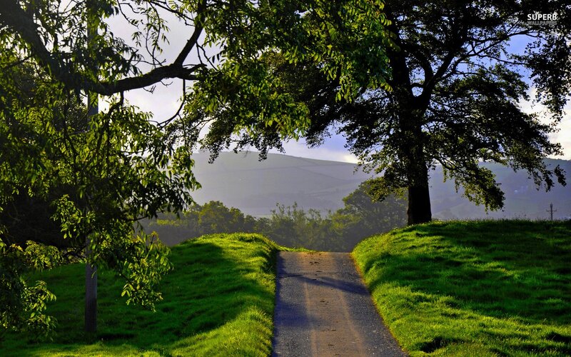 Path Through Green Hills — Serene, Morning