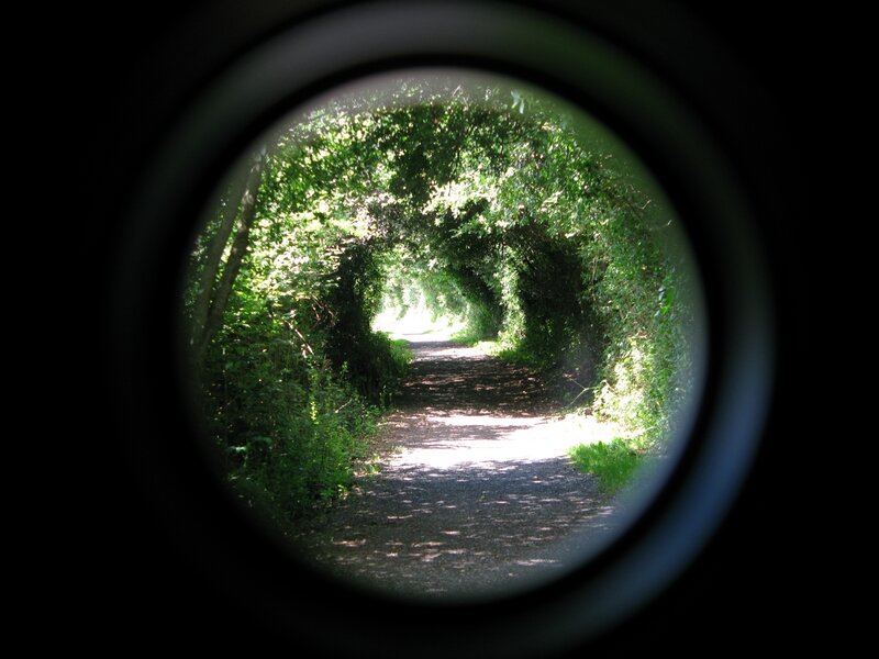 Path Through Green Tunnel