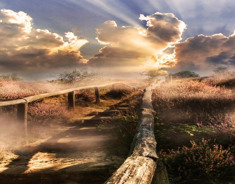 Path Through Heather Field — Blue