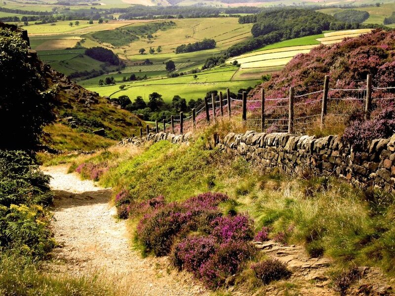 Path Through Heather Fields