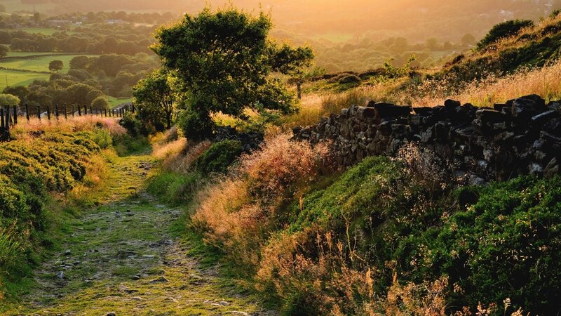 Path Through Hilly Landscape