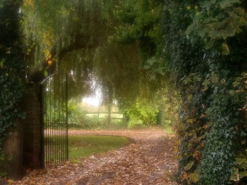 Path Through Leafy Archway