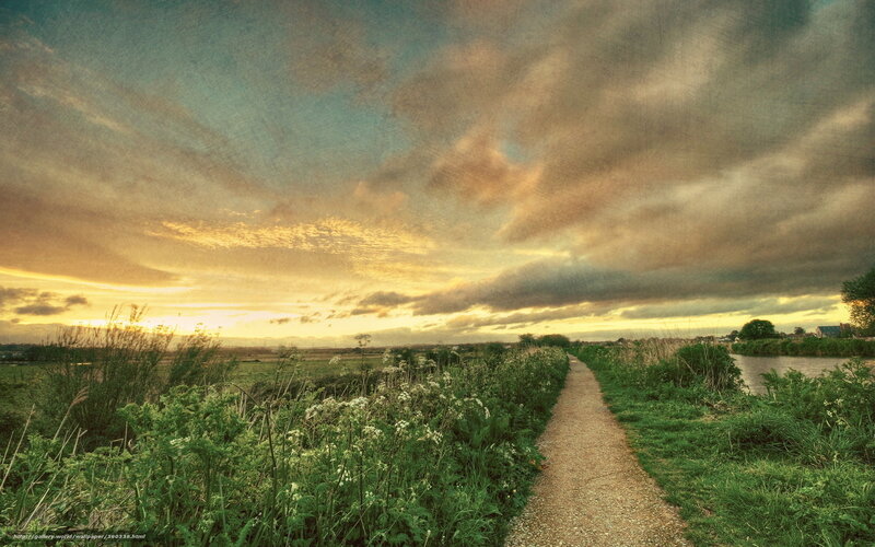 Path Through Marshland — Green, Dramatic, Sunset