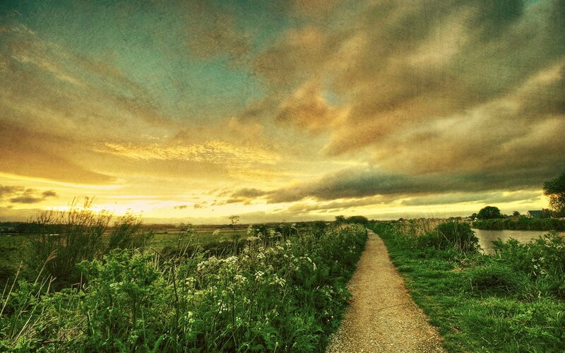 Path Through Marshland — Green