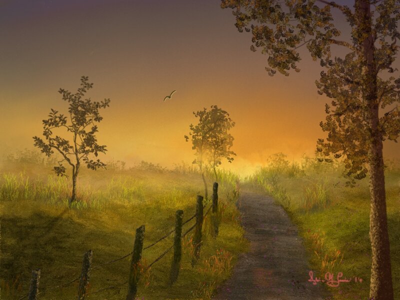 Path Through Misty Field