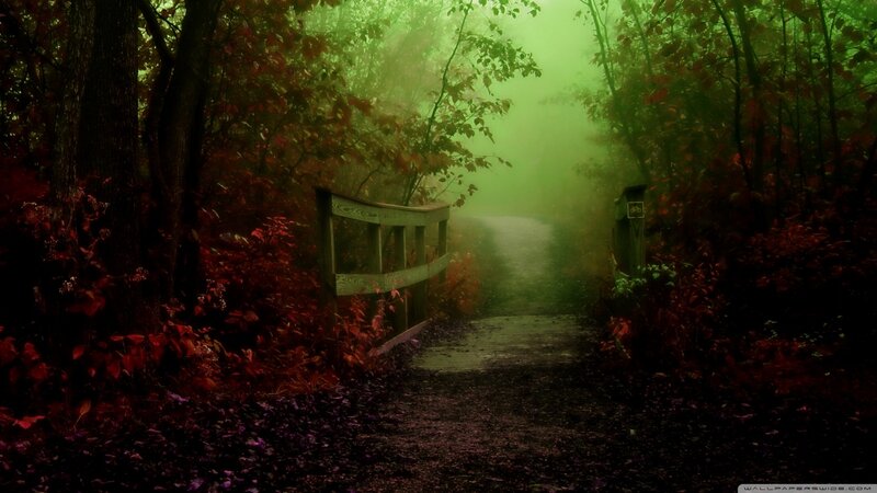 Path Through Misty Forest — Green, Mysterious